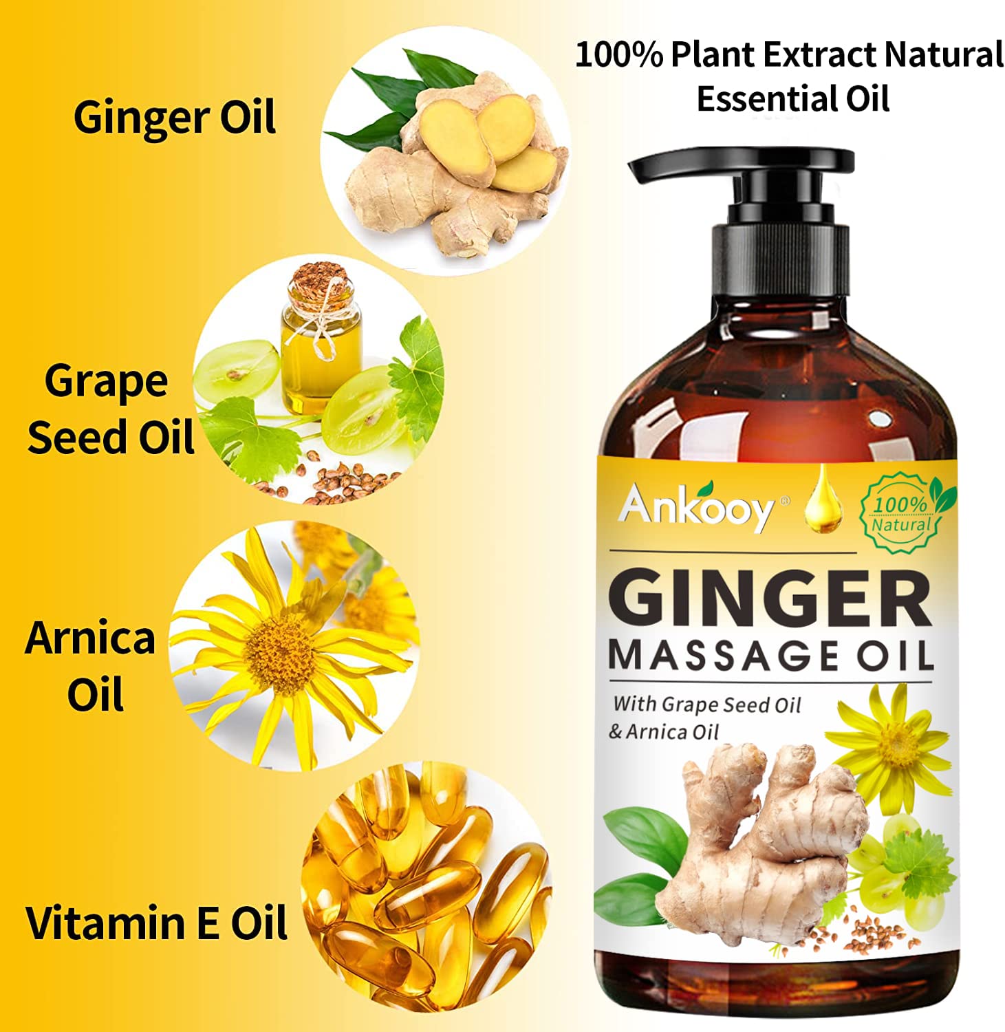 3 Pack 100% Natural Ginger Oil for Lymphatic Drainage Massage - Belly & Body Massage Oil with Arnica Extract & Vitamin E | Relaxing Aromatherapy, Post-Workout Recovery & Spa Treatment