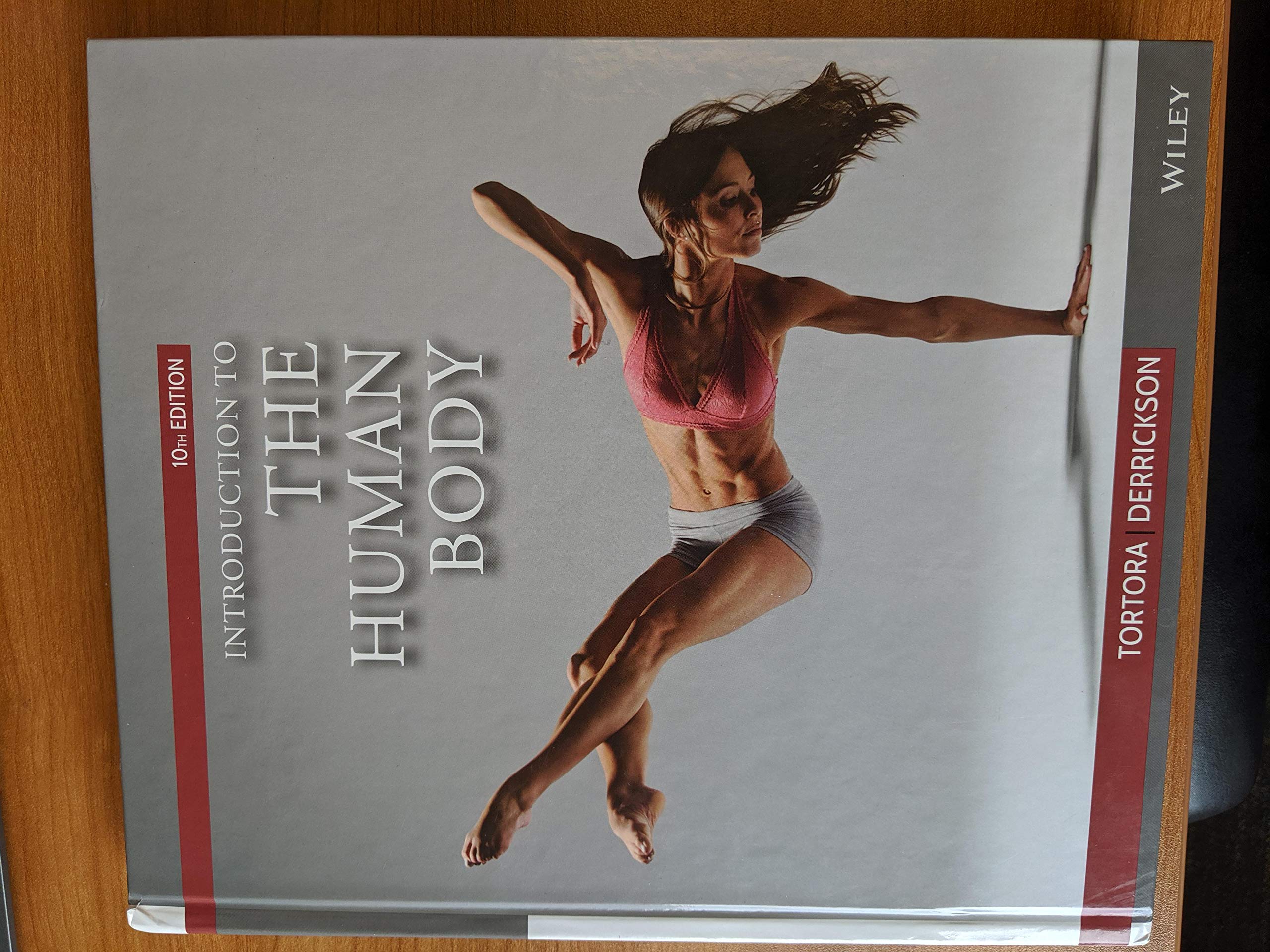 Comprehensive Guide to Human Anatomy & Physiology - Essential Study for Medical Students & Healthcare Professionals | Perfect for Classroom Learning & Self-Study