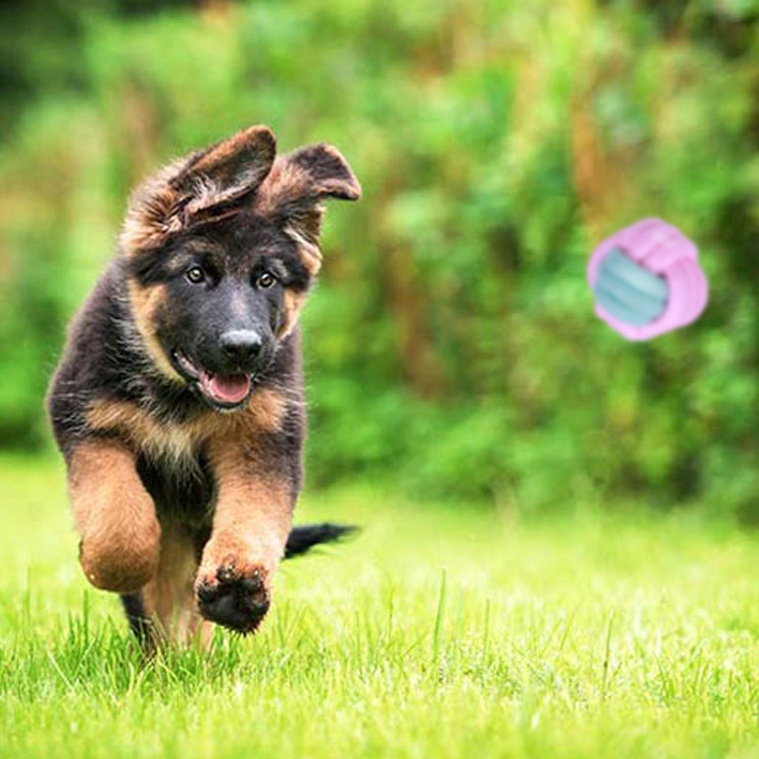7 Pack Durable Dog Rope Toys - Interactive Chew Toys for Puppies & Dogs, Nearly Indestructible Rope Ball for Aggressive Chewers - Perfect for Fetch, Tug of War & Teeth Cleaning Playtime