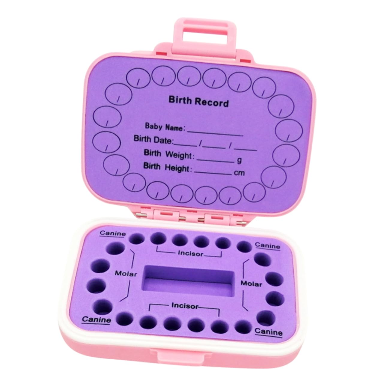Beatifufu First Tooth Keepsake Box - Baby Tooth Holder & Storage Container for Lost Teeth | Perfect for Baby's First Tooth, Tooth Fairy Gifts, and Childhood Memory Preservation