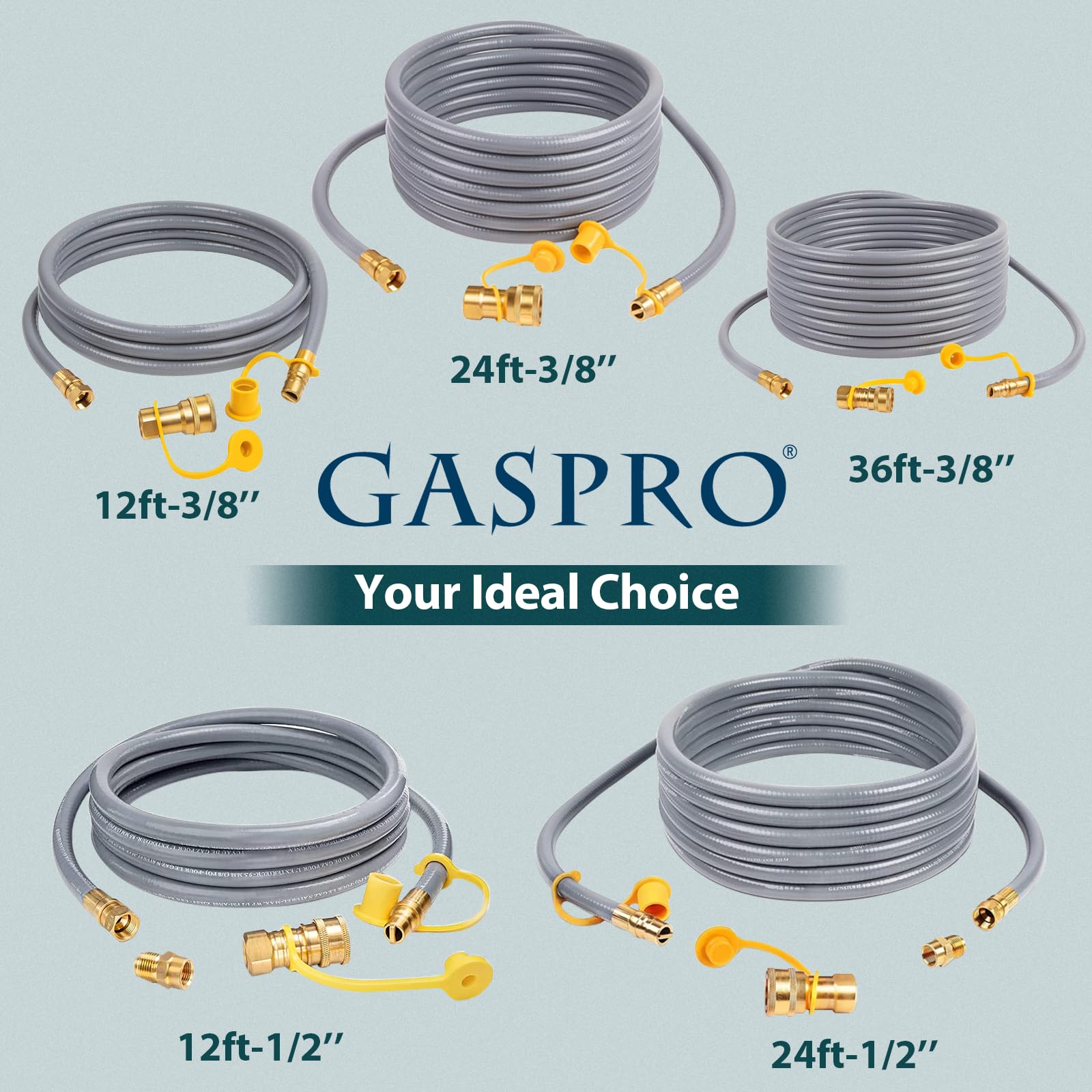 **GASPRO 12 Feet 1/2
