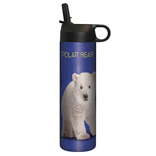Polar Baby Bear