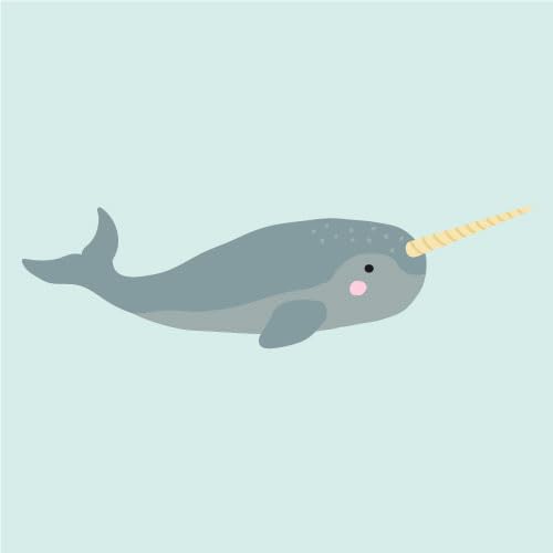 Narwhal