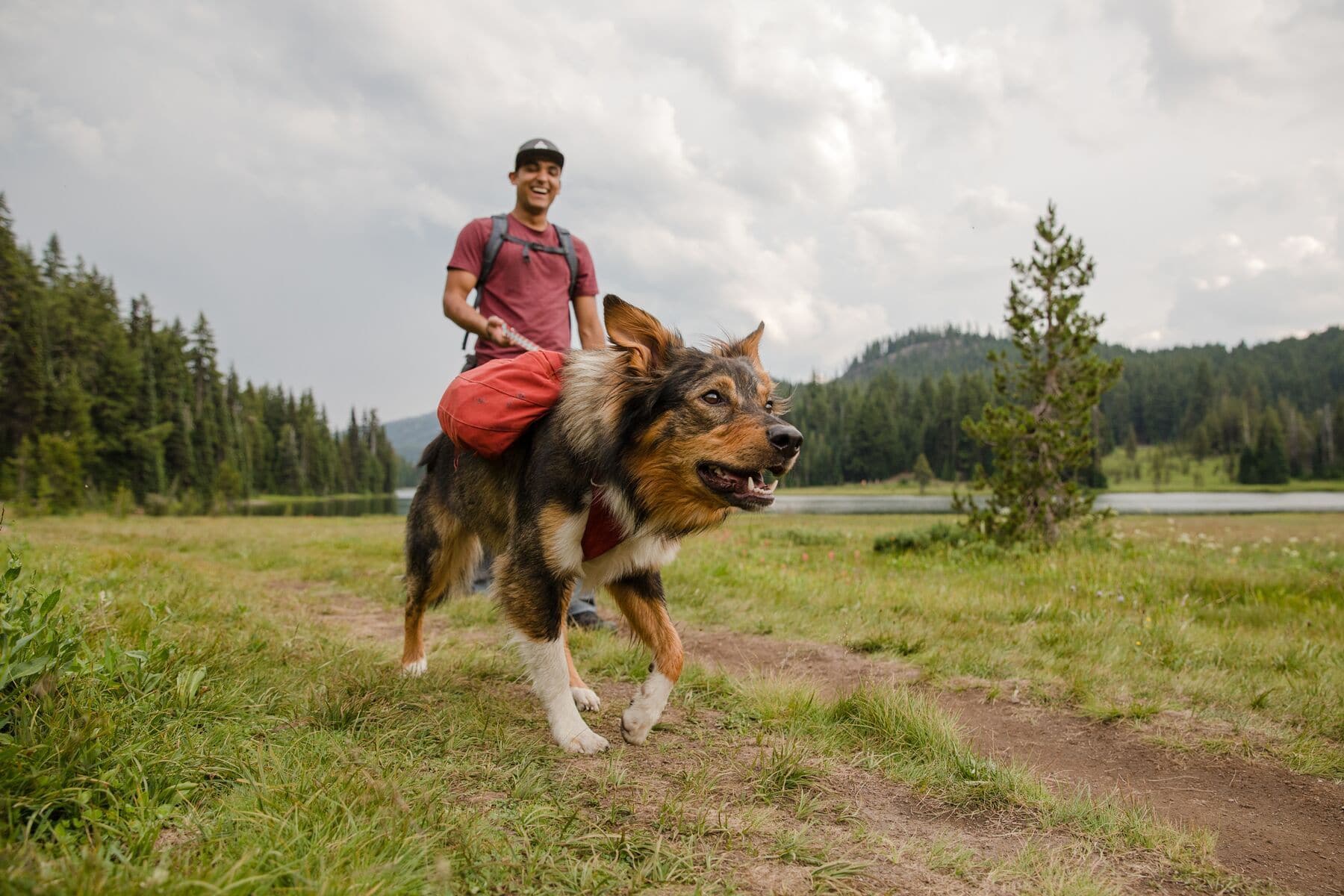 Ruffwear Front Range Dog Backpack - Lightweight & Adjustable Day Pack for Hiking & Outdoor Adventures - Lunar Blue (Mochila/Alforja para Perros) - Perfect for Camping, Trail Walks & Pet Travel Accessories