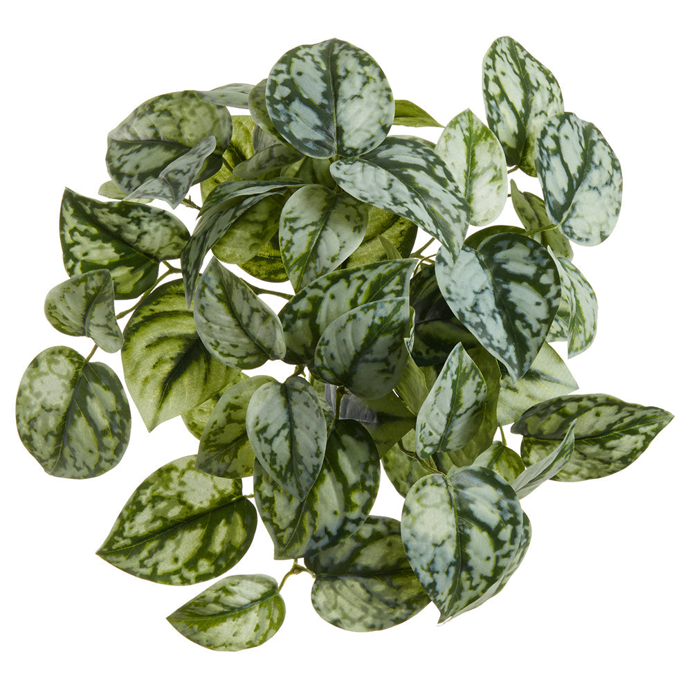 10 Pack Exotic Pothos Silk Hanging Plants - Realistic Green & Gray Artificial Vines for Home Decor - Perfect for Living Room, Bedroom, Office & Indoor Spaces