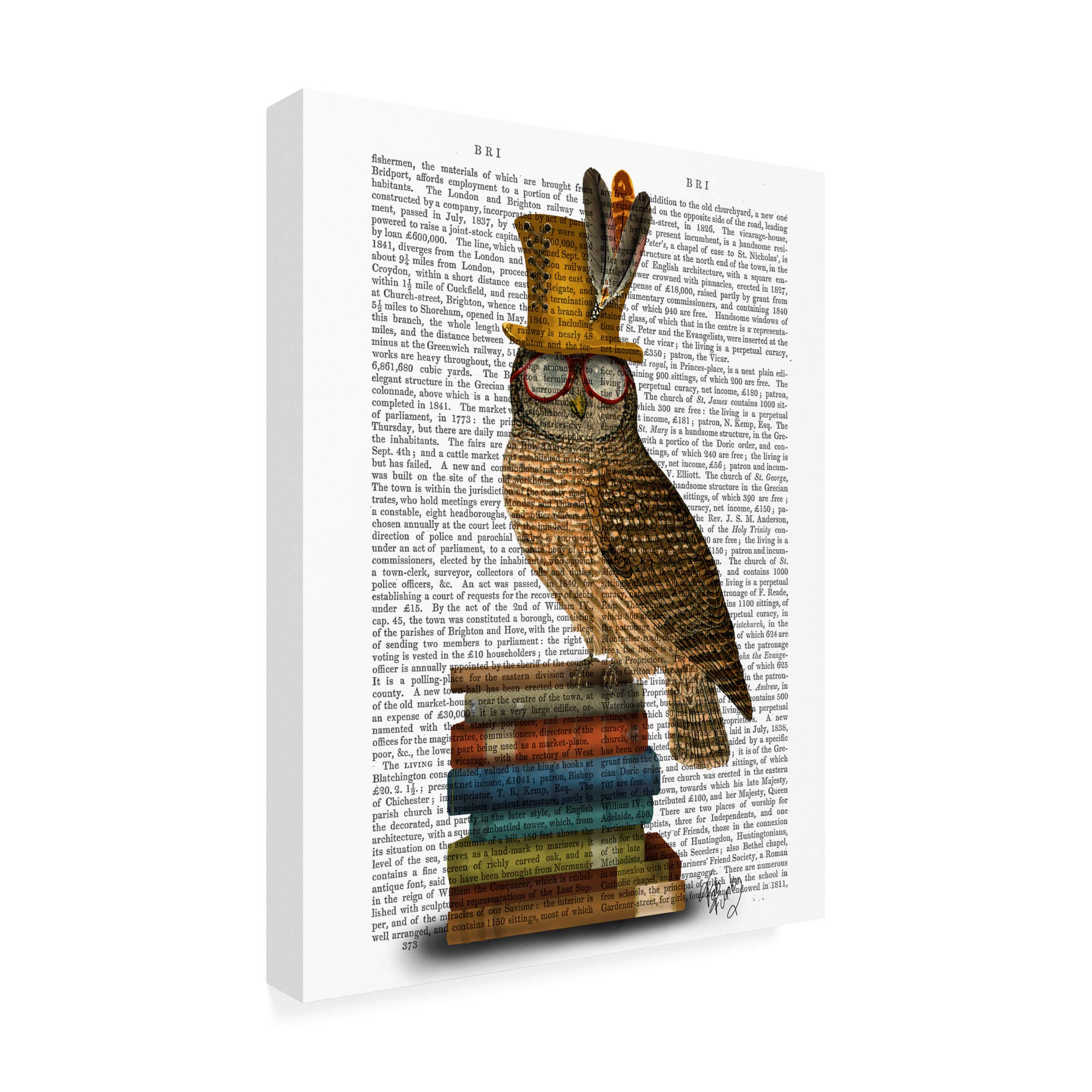 Trademark Fine Art 35x47 Owl on Books Wall Decor by Fab Funky - Perfect for Living Room, Bedroom & Office Decor