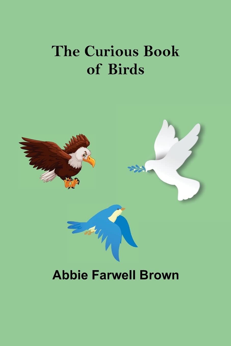 The Curious Book of Birds - Illustrated Guide to North American Bird Species for Nature Lovers | Perfect for Birdwatching, Homeschooling & Outdoor Adventures