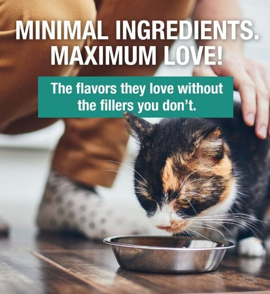 KOHA Turkey Stew Grain-Free Canned Cat Food - 5.5oz Wet Cat Food for Adult & Senior Cats | High Protein, Natural Ingredients | Perfect for Picky Eaters & Mealtime Enrichment