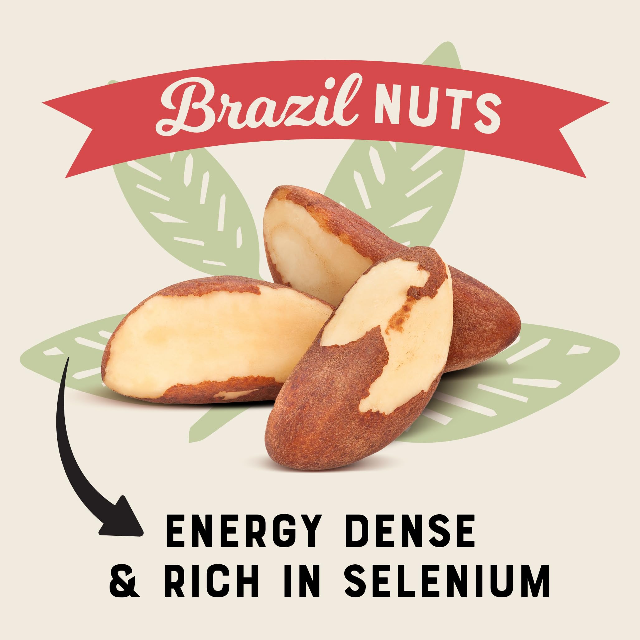 Premium Raw Brazil Nuts - Whole, Fresh & Unsalted (500g) | High in Selenium & Healthy Fats | Perfect for Snacking, Baking & Vegan Recipes
