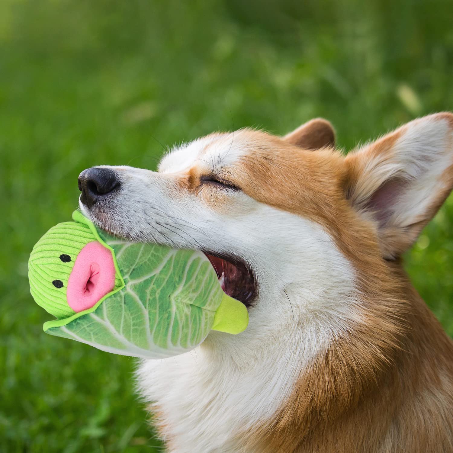 Interactive Dog Toys 2-in-1 Squeaky Chew Toys - Soft & Durable Fabric for Small & Medium Dogs - No-Stuffing Vegetable Design (Cabbage) - Perfect for Indoor Play, Training & Anxiety Relief