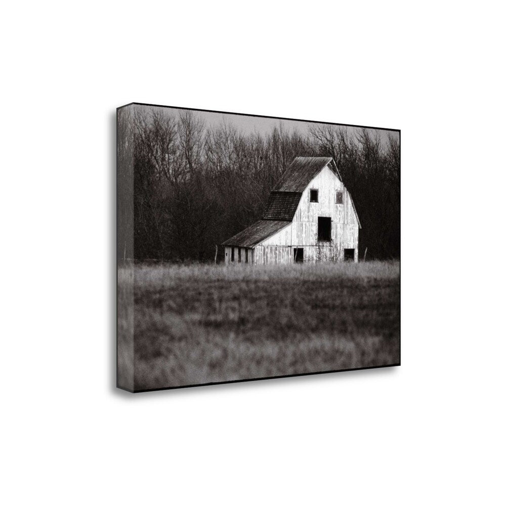 Americana By James Omara - Premium Fine Art Giclee Print on Gallery Wrap Canvas - Ready to Hang Wall Decor - Perfect for Living Room, Bedroom & Office