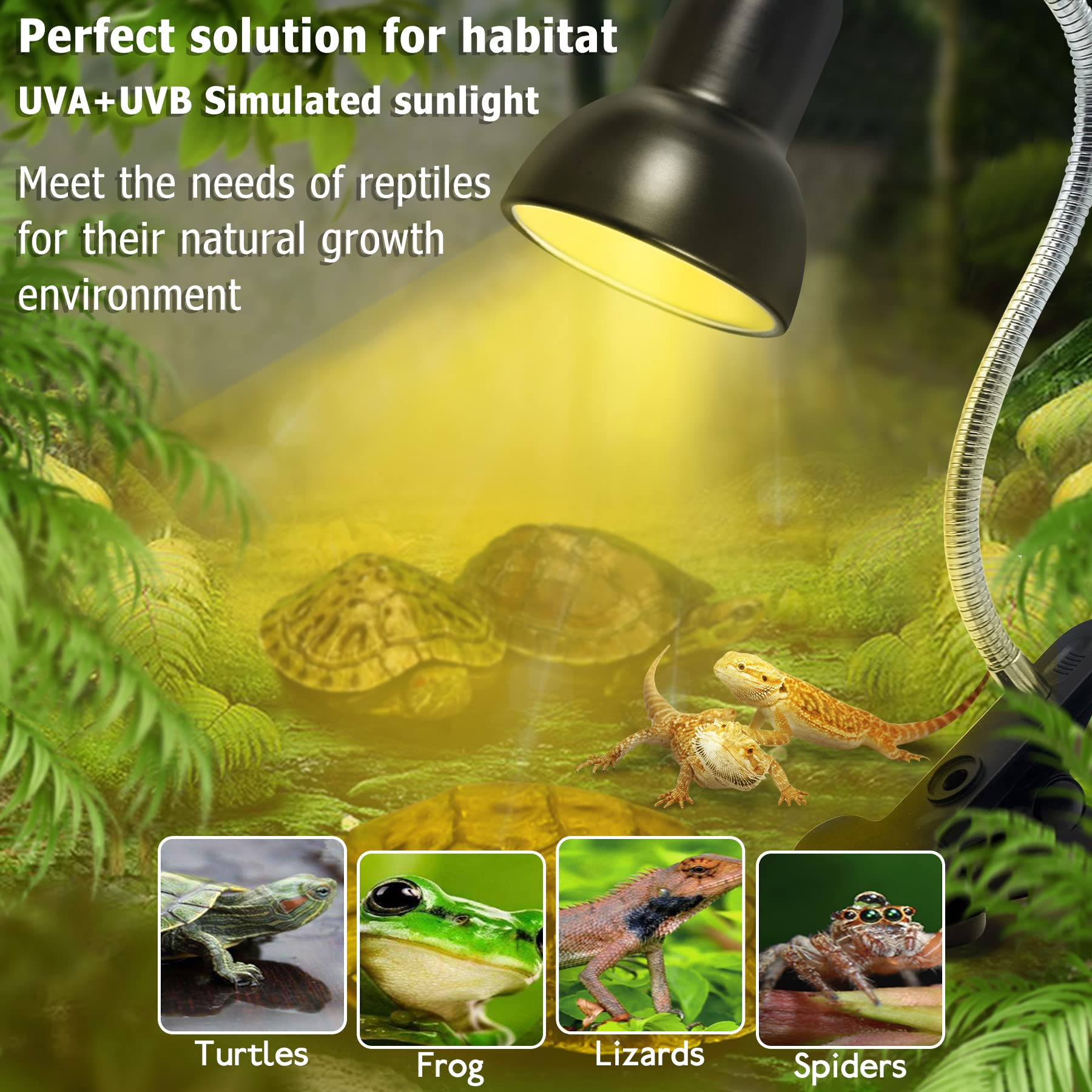 Reptile Heat Lamp with UVA UVB - Basking Spot Light for Turtles, Tortoises, Snakes & Lizards | 3 Heat Bulbs Included | Terrarium & Aquarium Heating Fixture with Switch Holder | Perfect for Day/Night Cycle & Habitat Temperature Control