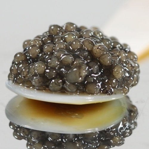 Premium American Paddlefish Caviar - 3.5 oz Jar | Wild Spoonbill Roe for Gourmet Dishes & Special Occasions