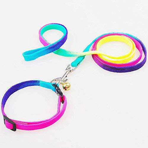 Rainbow Nylon Dog Collar & Leash Set for Puppies - Outdoor Walking
