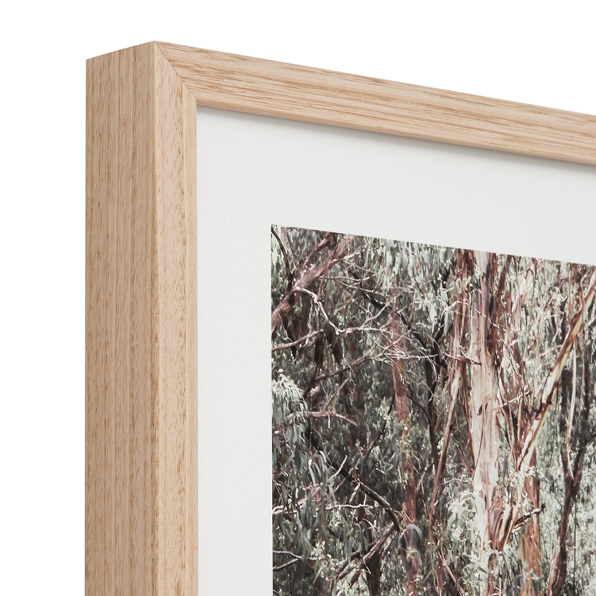 Eucalyptus Trail Print - Nature-Inspired Wall Art for Home & Office Decor | Perfect for Living Room, Bedroom & Workspace