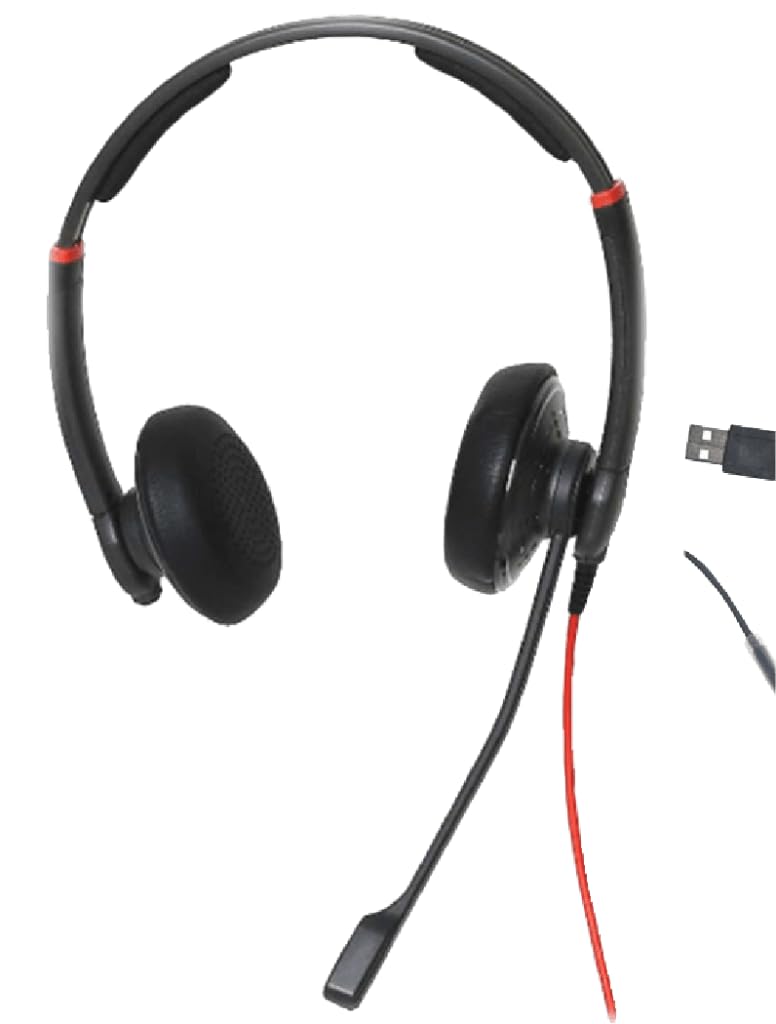 DataLocker Wired USB Headset with Noise-Canceling Microphone for PC/Laptop - TAA Compliant Adjustable Computer Headphones (AT1000Hs USB-A) for Office Work, Call Centers & Online Gaming
