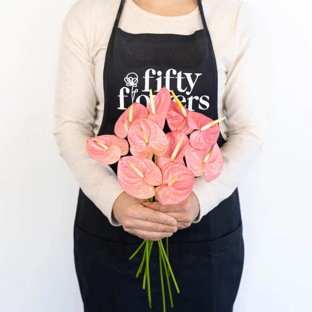 Anthurium Bubblegum Pink Tropical Flower - Live House Plant for Home & Office Decor, Gift Idea for Plant Lovers