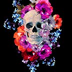 Skull Roses