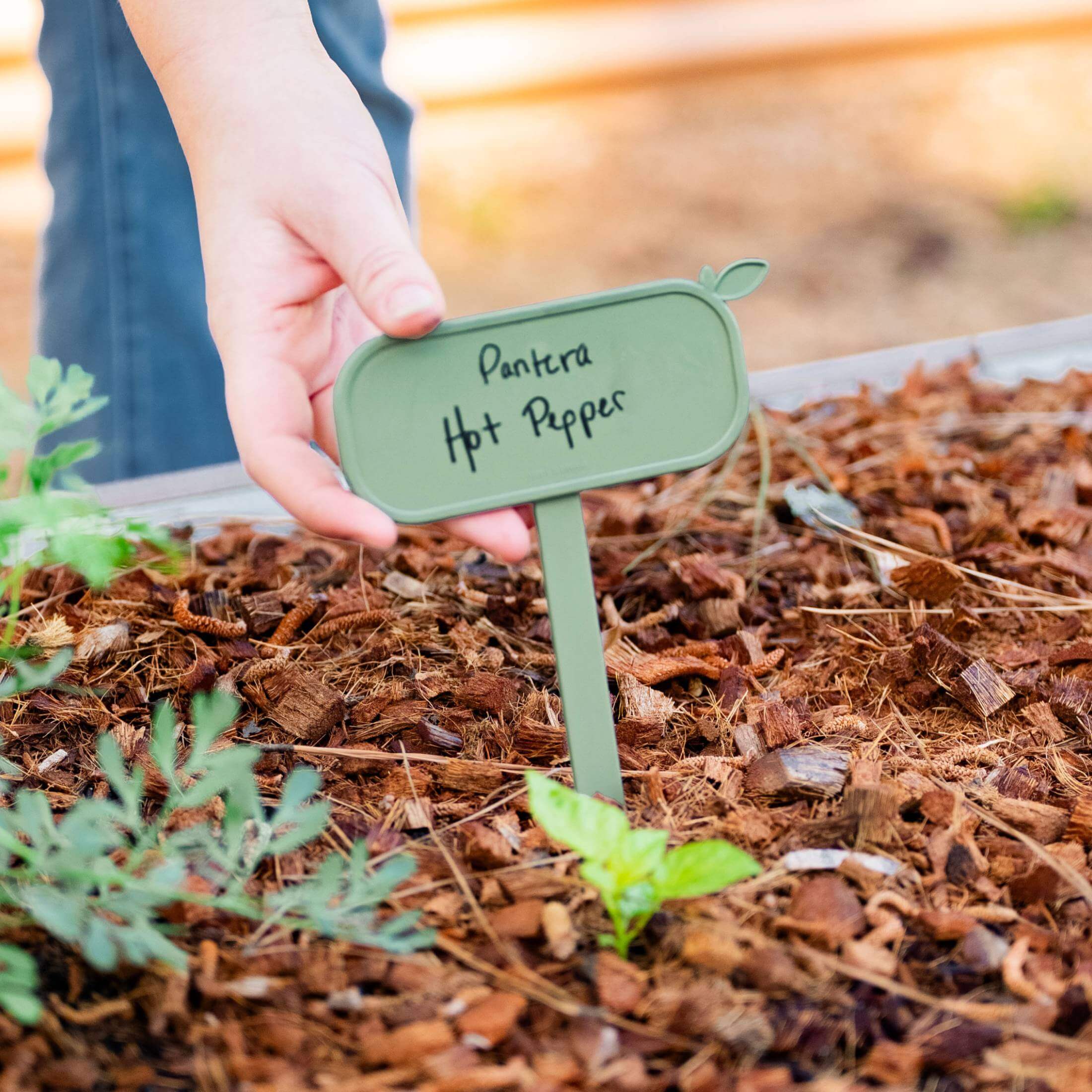10 Pack Magnetic Plant Tags - Waterproof Garden Markers for Herbs, Vegetables & Seedlings - Perfect for Indoor & Outdoor Gardening Organization