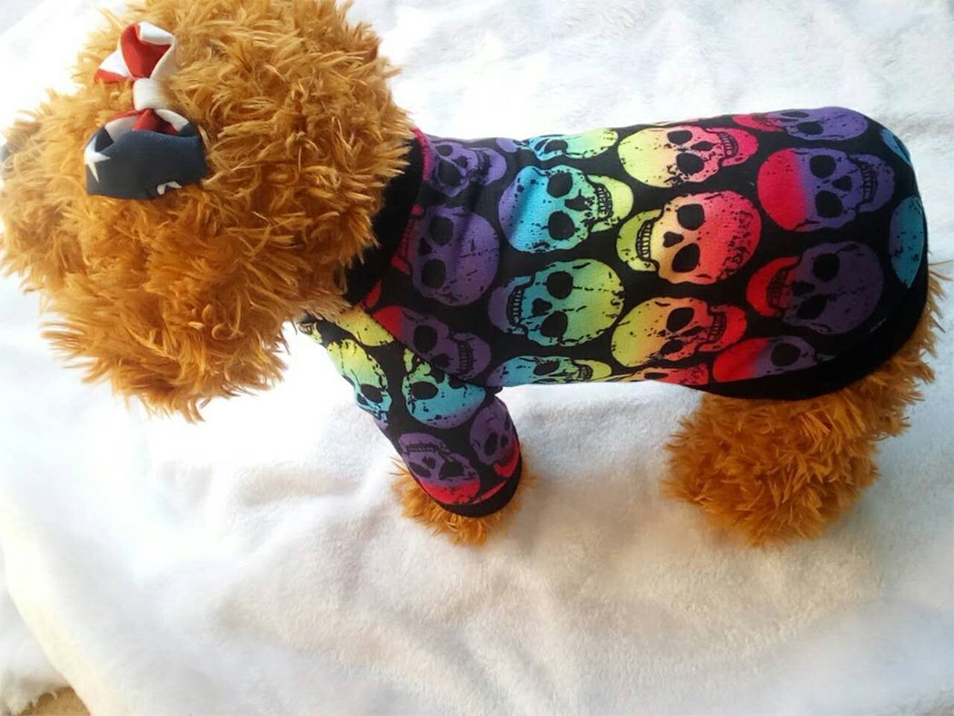 Hillento Halloween Pet Costume - Colorful Skull Ghost Sweater for Small Dogs & Cats | Cute Halloween Apparel for Puppy & Kitten | Perfect for Halloween Parties, Pet Parades & Photo Shoots