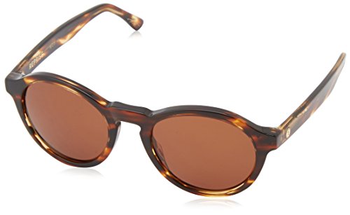 Tortoise Shell