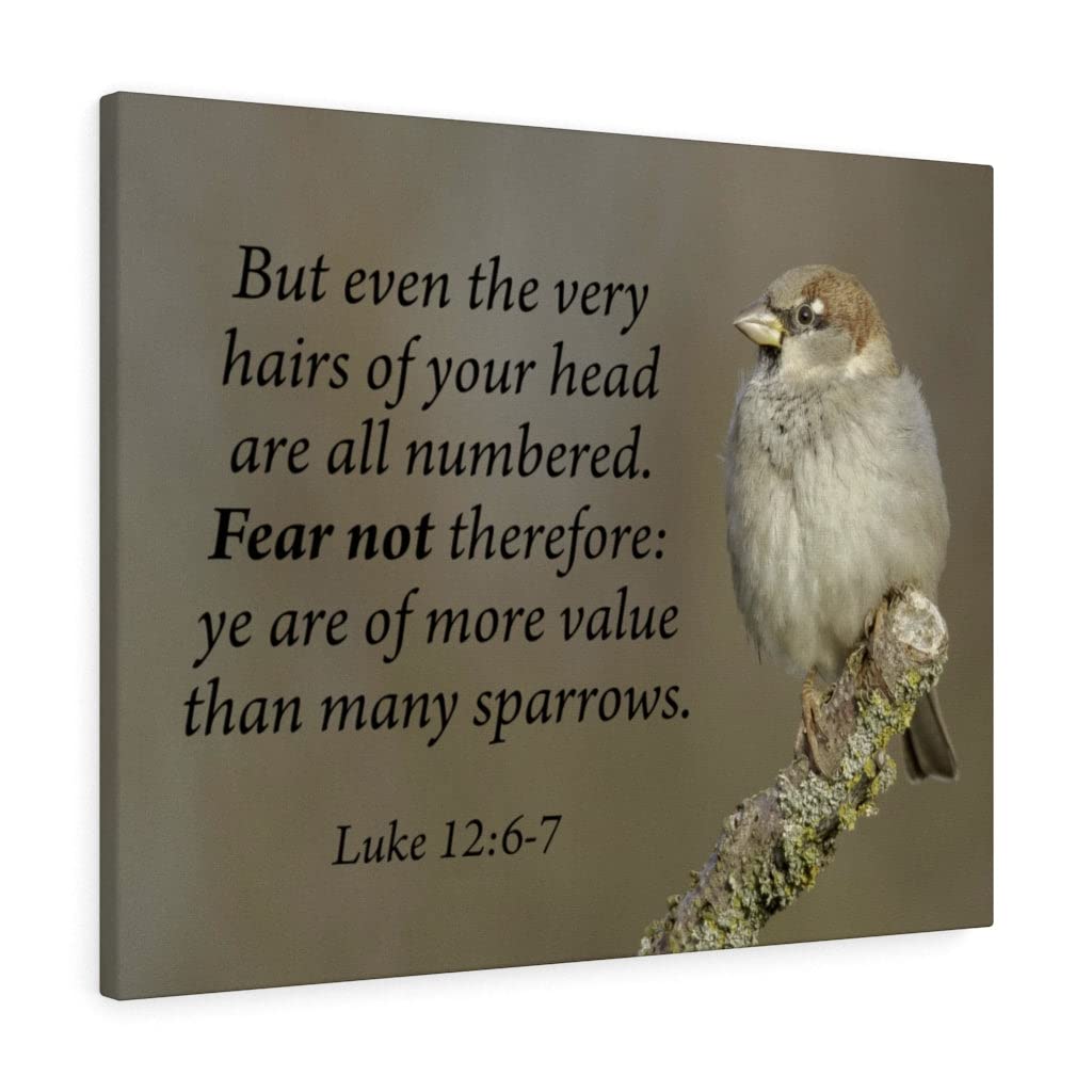 Christian Wall Art with Bible Verse Luke 12:6-7 - Ready to Hang Scripture Print for Home Decor & Gift - Perfect for Bedroom, Living Room & Church