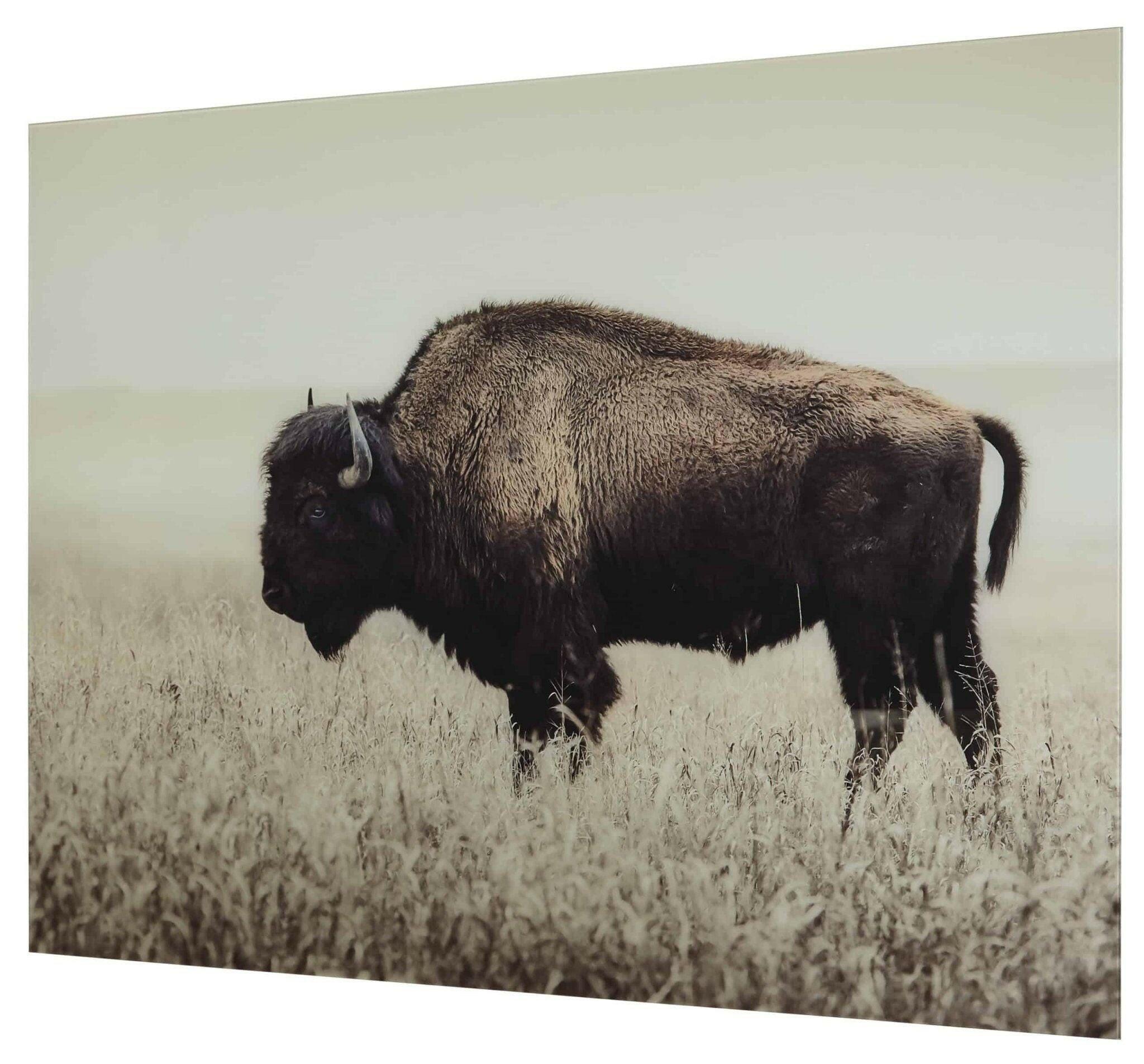 Brutus Wall Art A8000289 - Premium Canvas Painting for Home & Office Decor - Perfect for Living Room, Bedroom, and Workspace