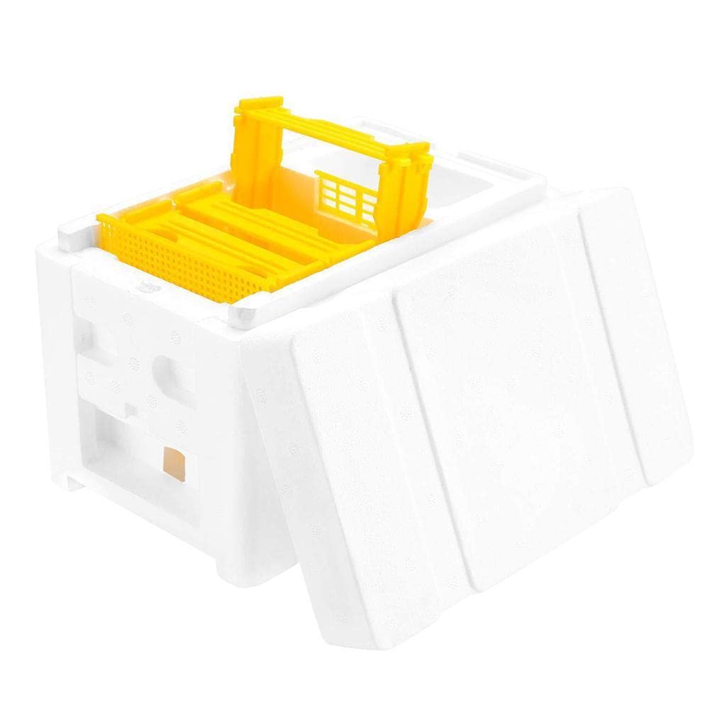 Queen Bee Breeding Box - Beekeeping Mating Hive with Removable Foam Reserve Case | Perfect for Apiary, Honey Production & Bee Colony Management | Durable Beekeeping Equipment for Professional & Hobbyist Beekeepers