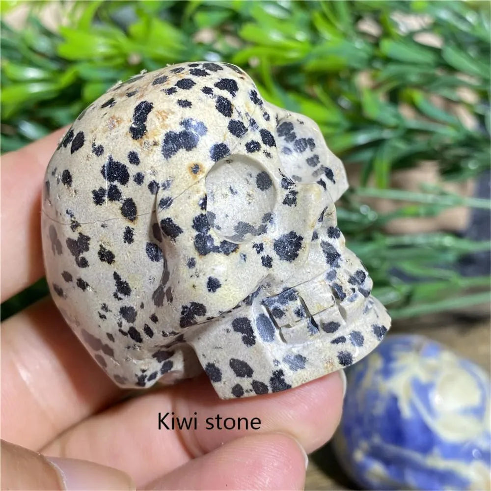 Natural Black Tourmaline Obsidian Crystal Skull - Bloodstone Healing Stone for Reiki, Meditation & Energy Work - Unique Mineral Cranium Decor for Home, Office or Sacred Space