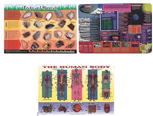 Wipe-Off Placemats Set of 3 - Weather, Rocks & Human Body Laminated Educational Mats for Kids | Perfect for Homeschooling, Classroom Learning & Dining Table Activities