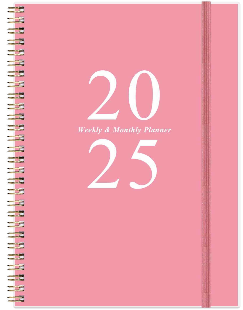 A Year of Transformation: Emma's Journey with the 2025 Planner
