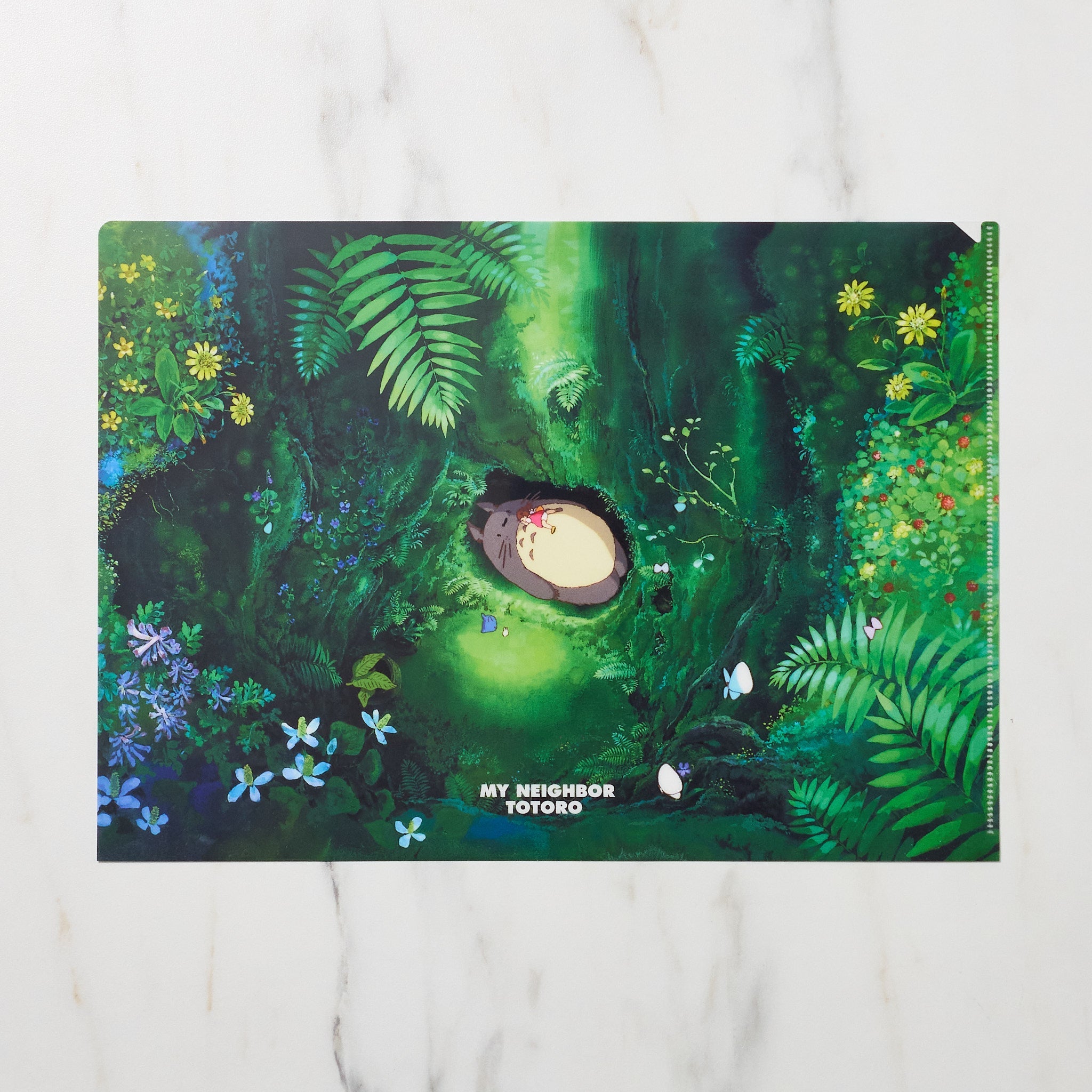 Studio Ghibli My Neighbor Totoro Scenes A4 Clear File Folder - Anime Collectible for School, Office & Home Organization | Perfect for Documents, Artwork & Stationery Storage