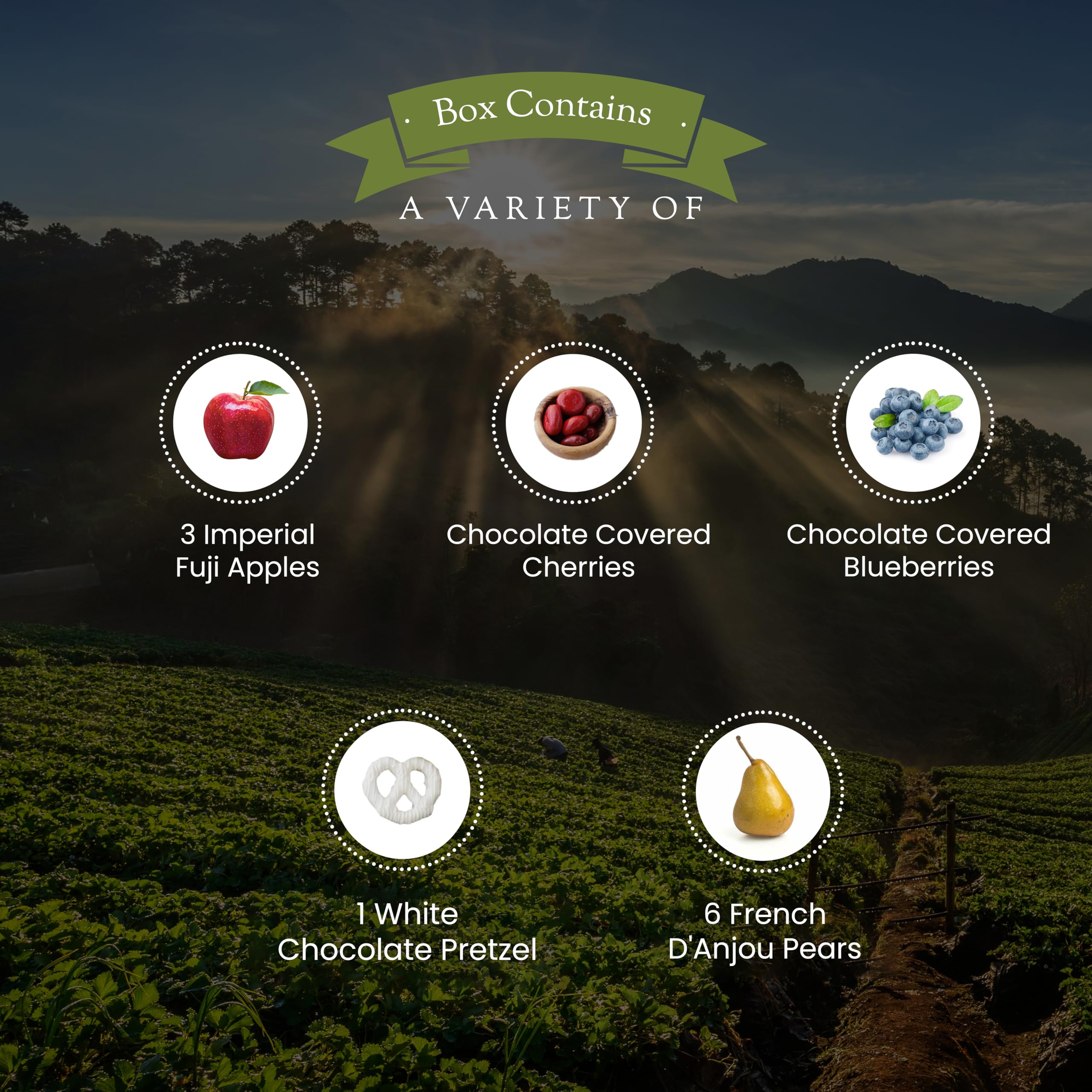 Premium Oregon Fruit & Chocolate Gift Box - Fresh Fruits & Gourmet Chocolates for Birthdays, Anniversaries | Luxury Corporate Gifts & Holiday Present Ideas