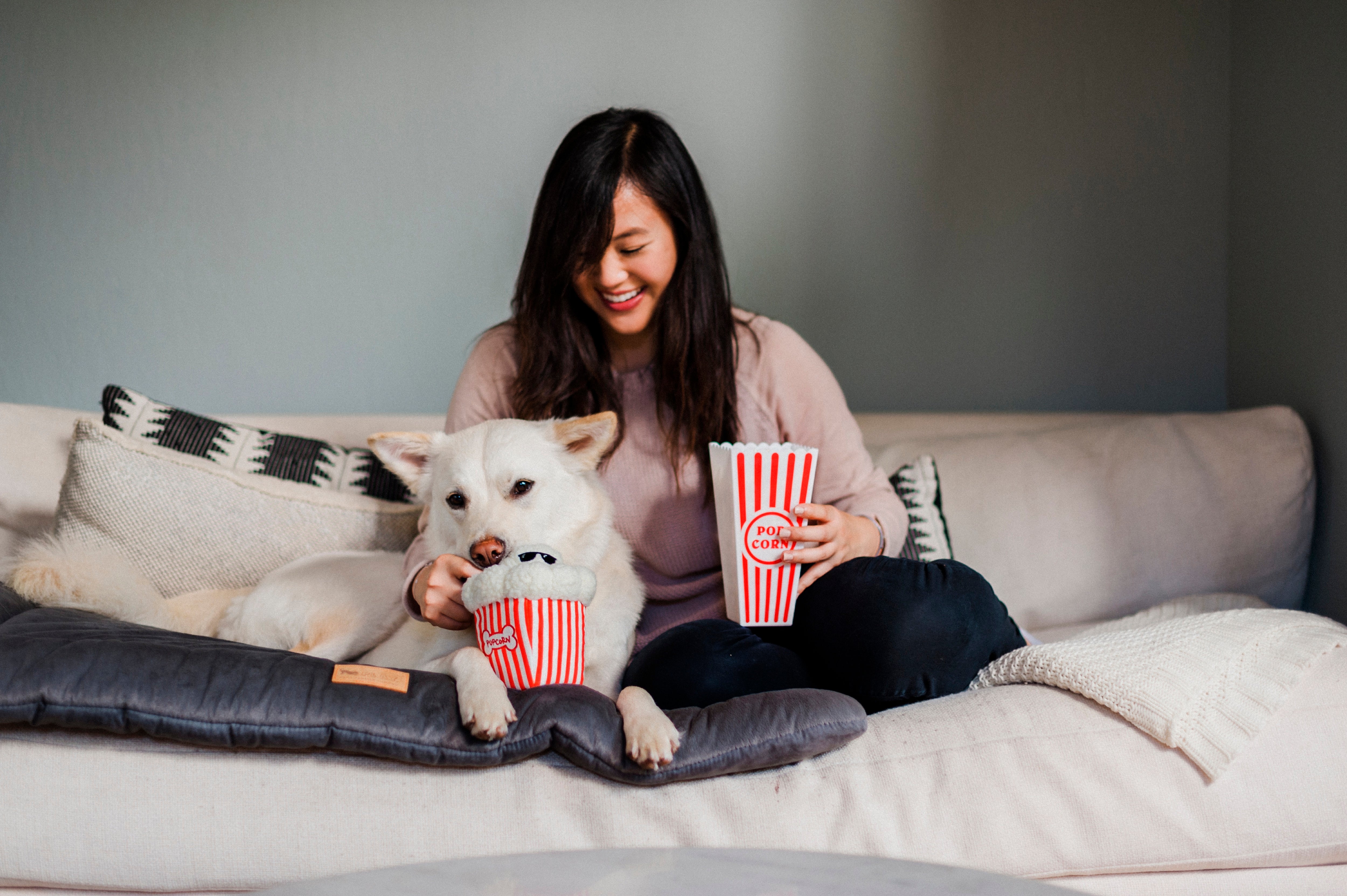 Hollywoof™ Las Palomitas Plush Dog Toy - Soft & Durable Chew Toy for Small & Large Dogs | Perfect for Playtime, Training & Cuddling | Pet P.L.A.Y.