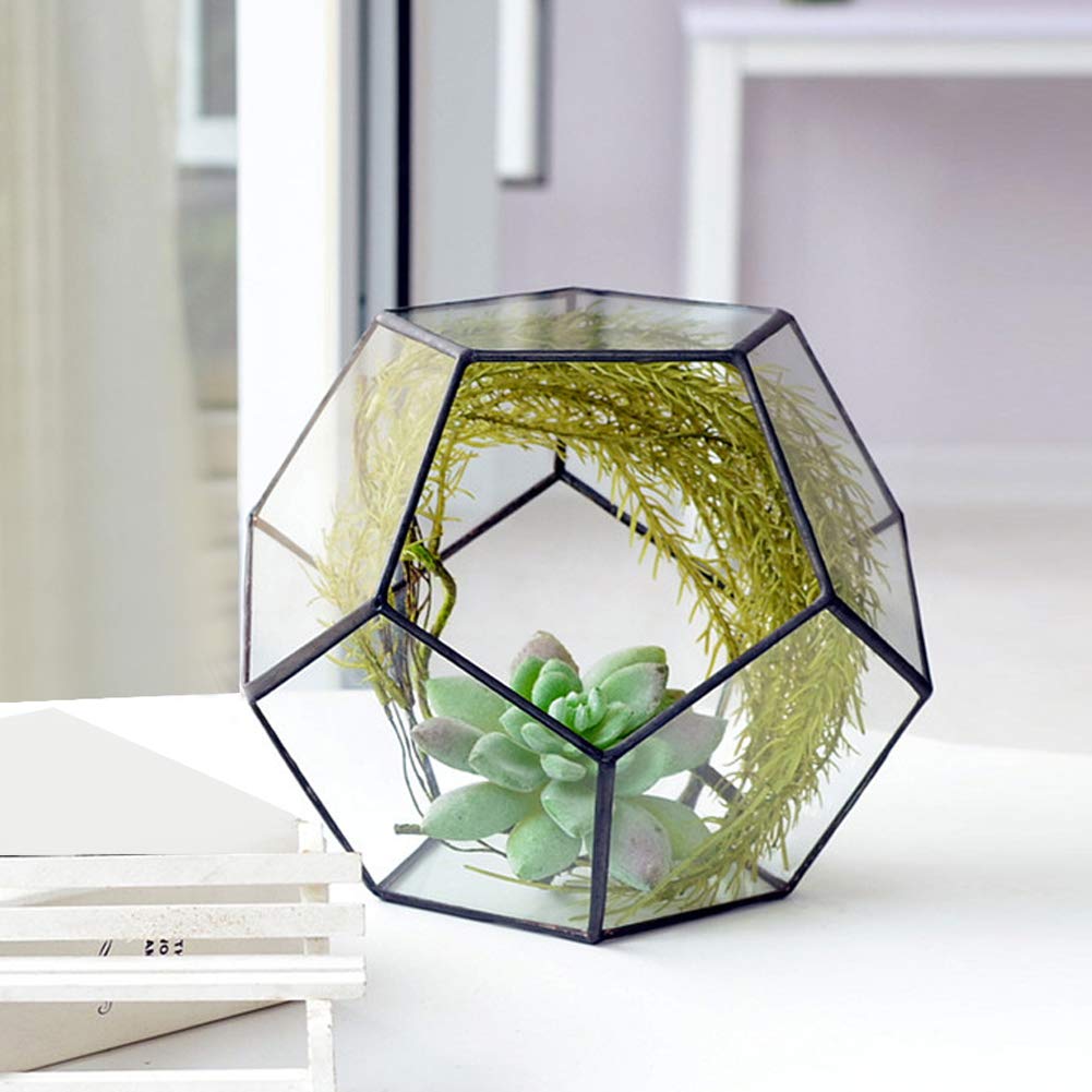 Durable Glass Succulent Planter - Elegant Flower Pot for Home, Garden & Flower Shop Decor | Perfect for Indoor Plants, Office Desk & Wedding Centerpieces