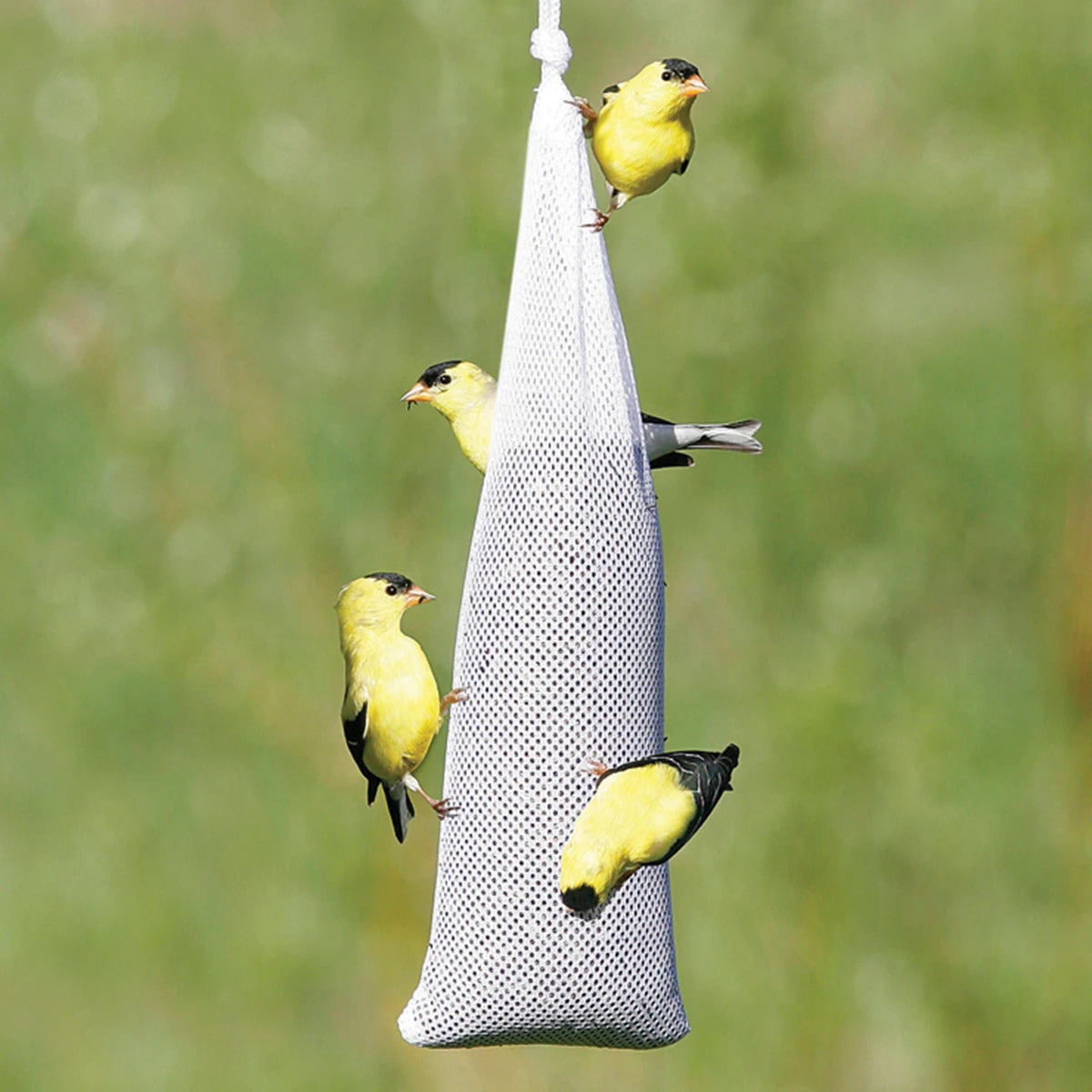 Premium Nyjer® Seed Stocking Set of 3 - Holiday Bird Feeder Decorations for Christmas Tree, Outdoor Wildlife Feeding & Winter Garden Decor
