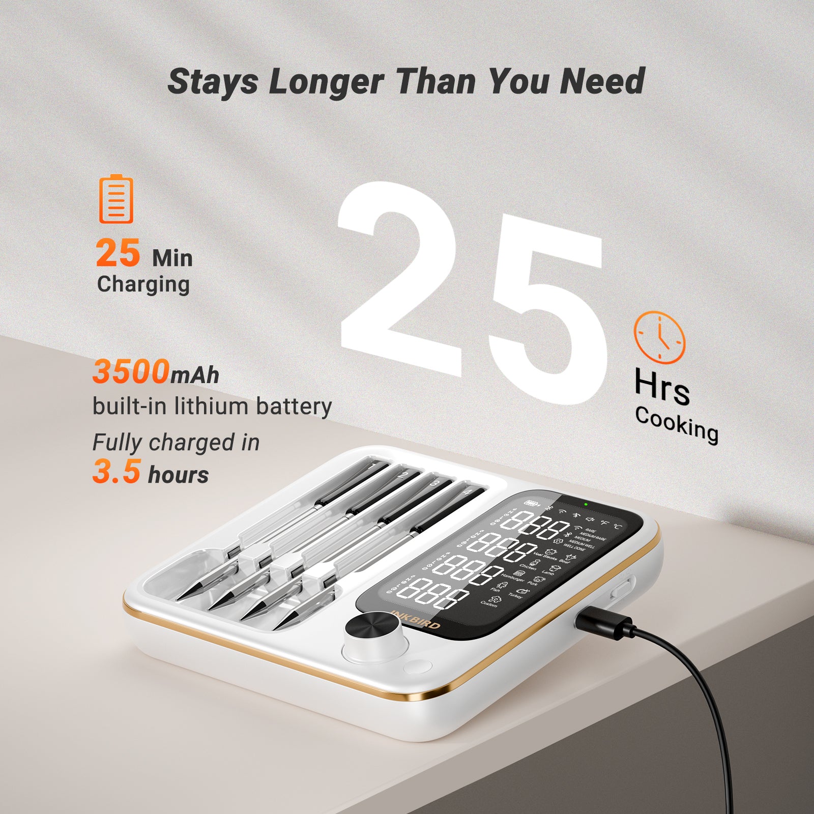 Wireless Bluetooth & WiFi Meat Thermometer for Grilling, Smoking, and BBQ - INT 14 BW - Perfect for Indoor & Outdoor Cooking