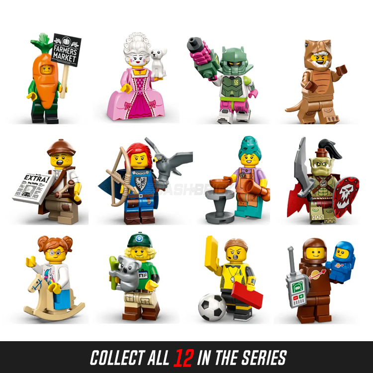 LEGO Series 24 Collectible Minifigures - Conservationist with Koala (8/12) | Rare Collectors Edition for Display, Gifts & LEGO City Scenes