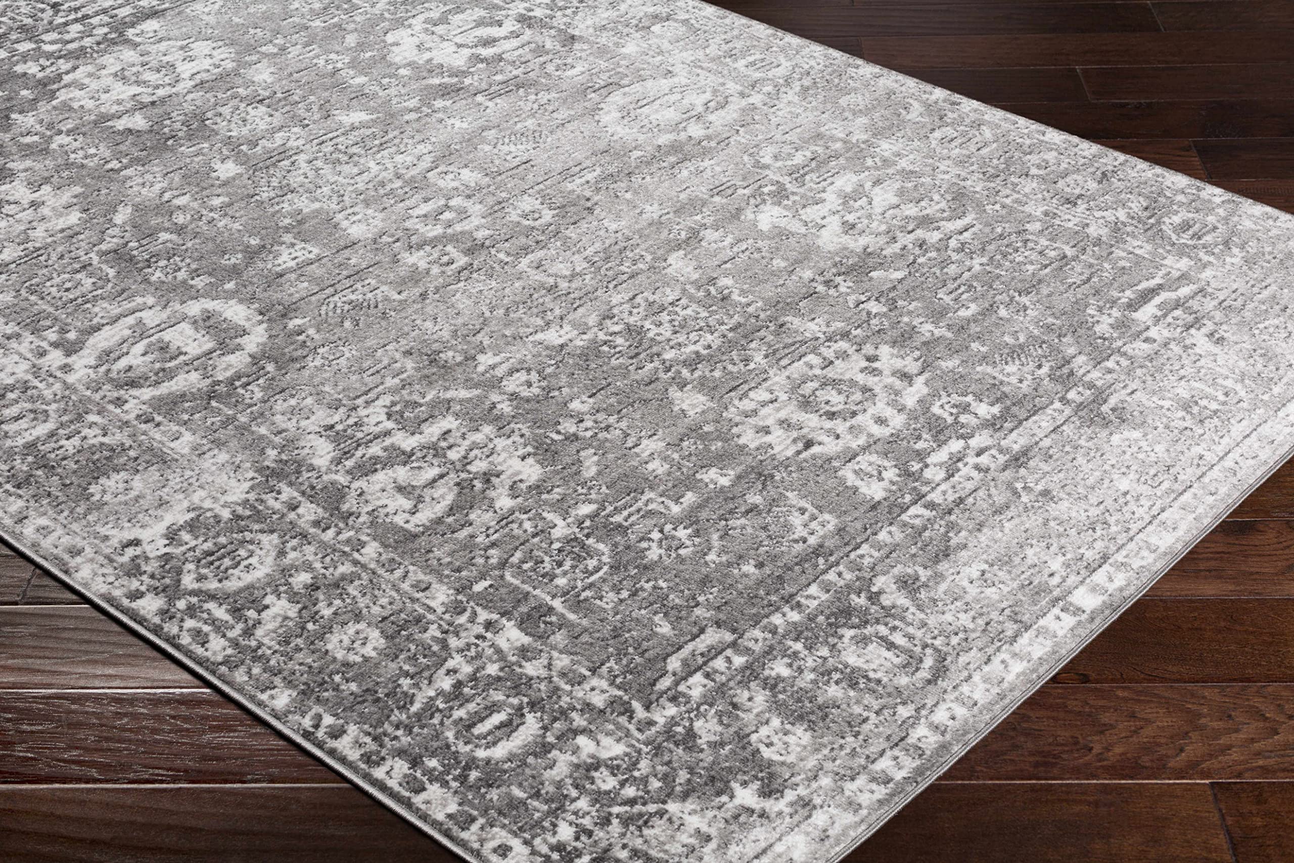Hauteloom Tripp Transitional Area Rug - Soft Gray and White - 6'7