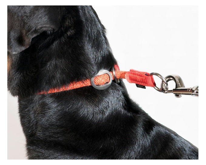 Comfortable Rope Slip-On Dog Collar - Adjustable & Durable for Small & Medium Dogs - Perfect for Walks, Training & Everyday Use