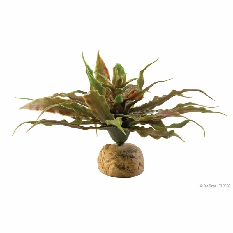 Exo Terra Desert Ground Plant Star Cactus - Realistic Artificial Cactus for Reptile Terrarium Decor - Perfect for Bearded Dragon, Gecko & Snake Habitats