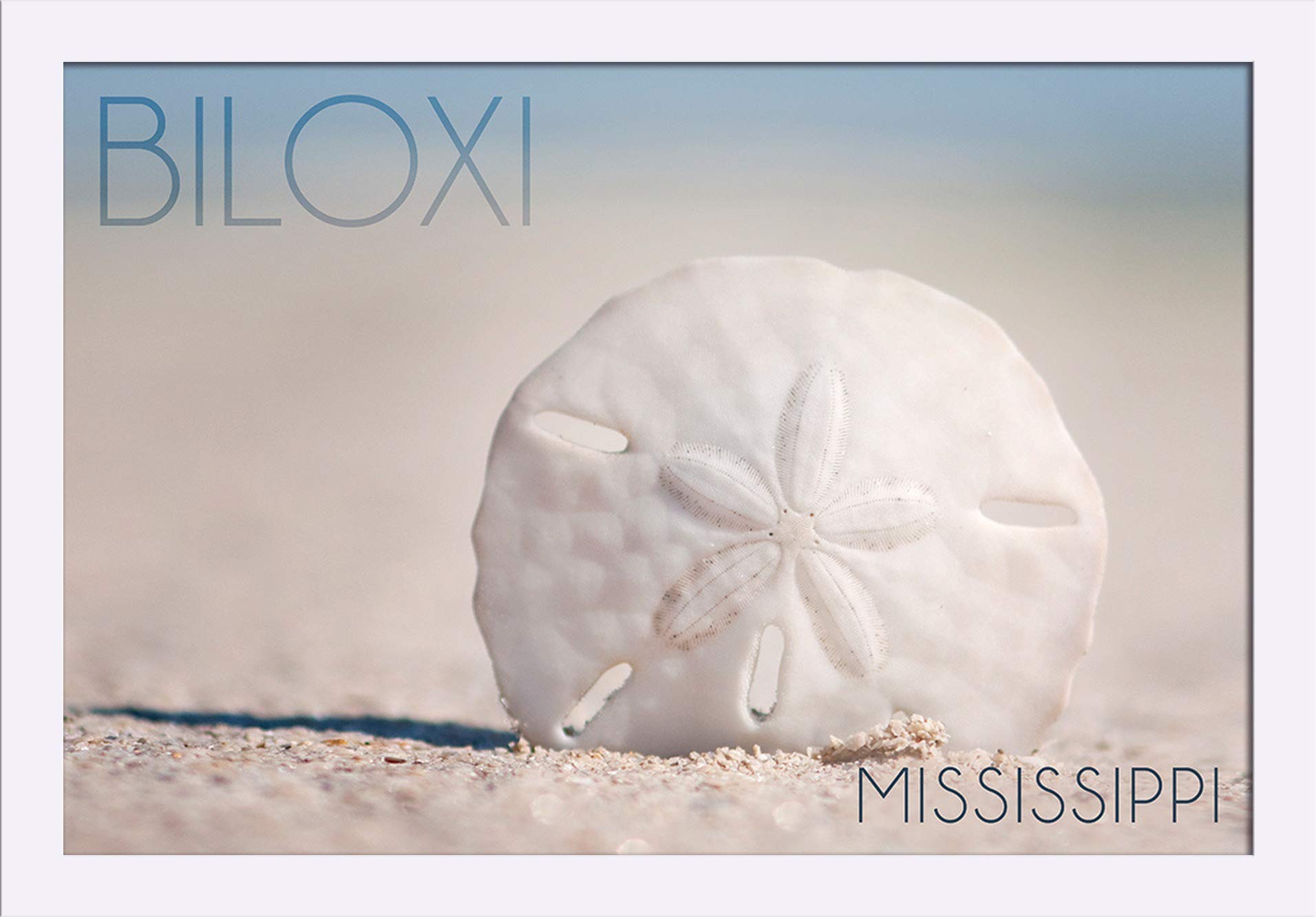 Biloxi Mississippi Sand Dollar Beach Art Print - 16x24 Giclee Fine Art on Recycled Wood Frame in White - Perfect for Coastal Home Decor & Beach House Wall Art