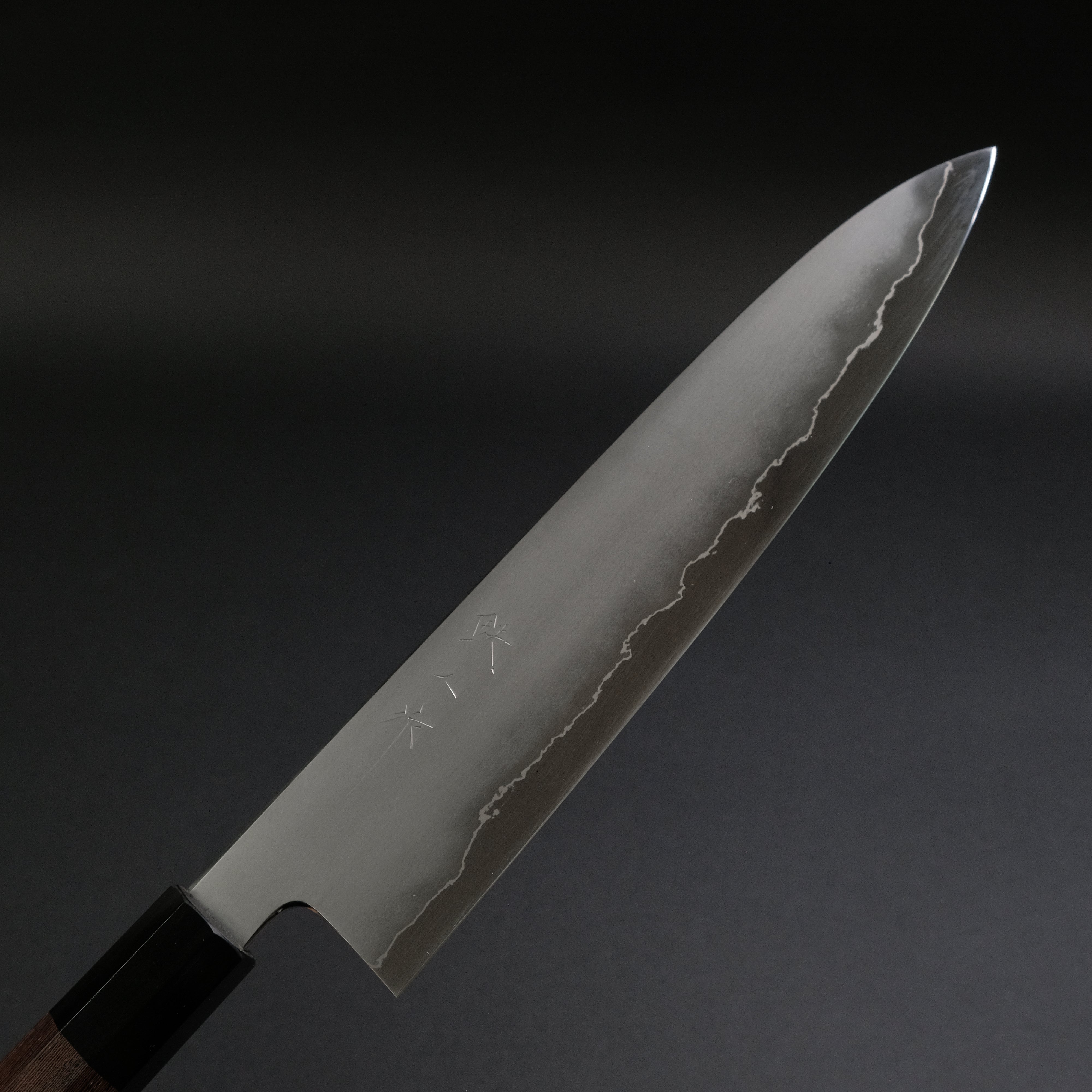 Premium Tetsujin Silver #3 Kasumi Gyuto 240mm Japanese Chef Knife with Taihei Tagayasan Wood Handle - Perfect for Sushi, Meat Slicing & Professional Kitchen Use