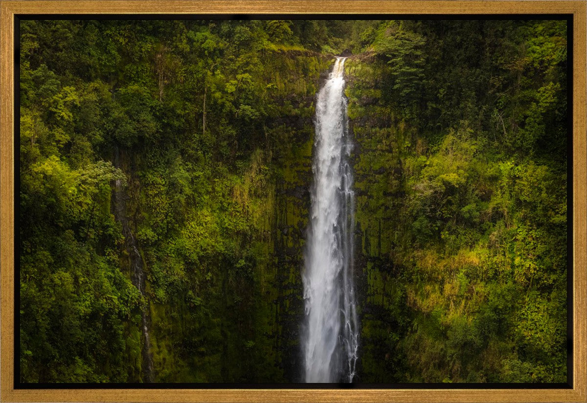 Stunning Akaka Falls Hawaii Wall Art - Premium Gallery Wrap Canvas Print for Home & Office Decor | Perfect for Living Room, Bedroom, or Gift Idea