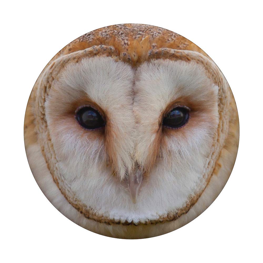 Barn Owl Wildlife Photography PopSockets PopGrip - Interchangeable Phone Grip for iPhone, Samsung & Tablets - Perfect for Nature Lovers, Hiking & Outdoor Adventures
