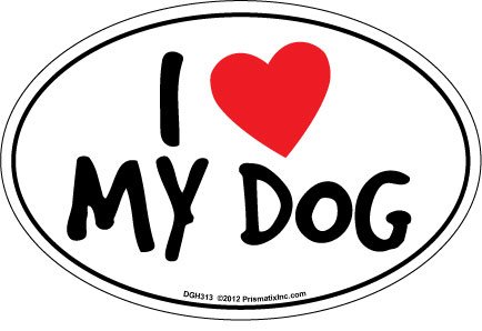 I Heart My Dog - Cute Cat and Dog Fridge Magnets for Pet Lovers | Perfect for Refrigerator, Whiteboard & Office Decor