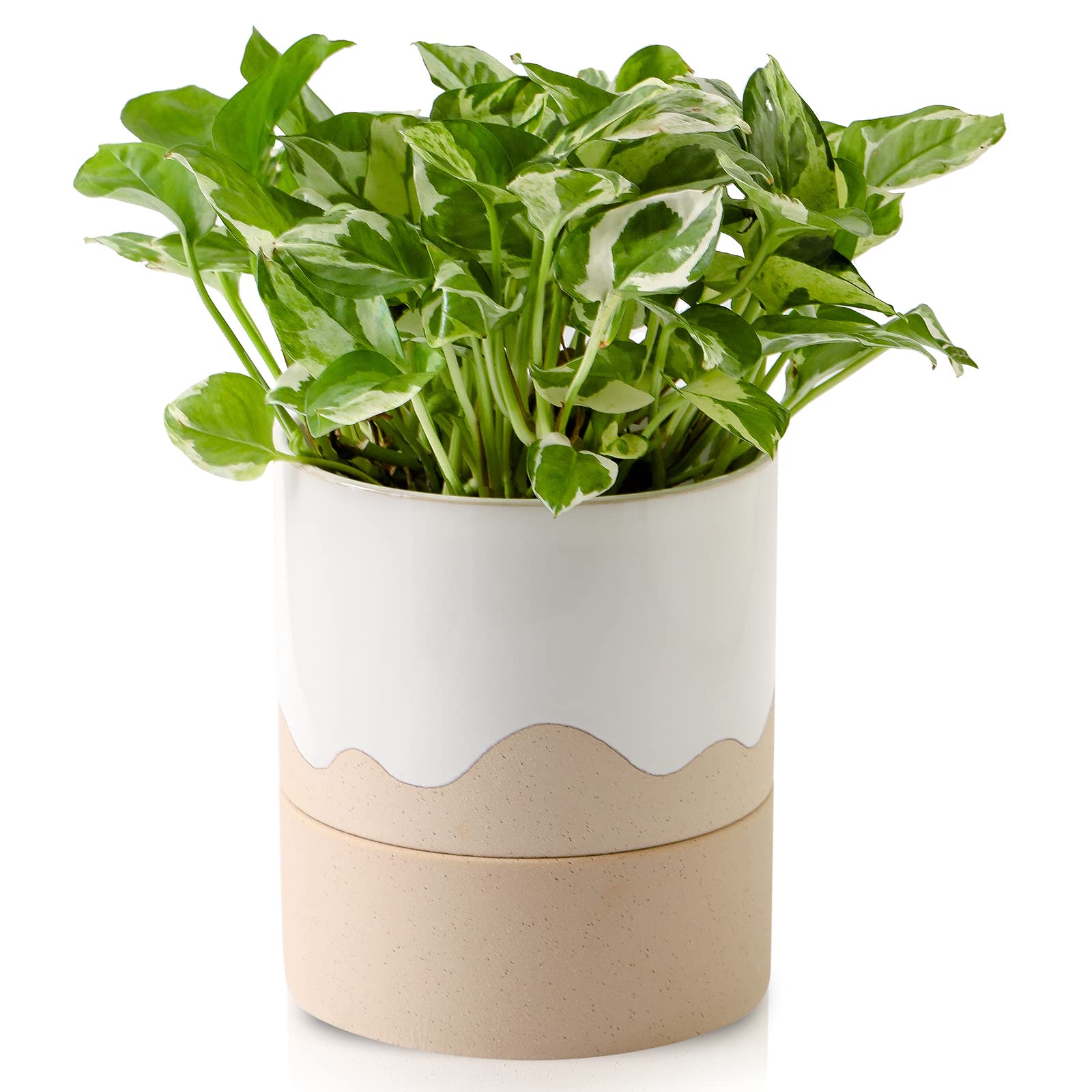 Nihow Self Watering Plant Pot: 6 Inch Ceramic Planter with Drainage Hole & Water Reservoir - Indoor Round Flower Pot for Succulents, Herbs, Violets (White/Natural) - Perfect for Home, Office, and Garden Decor
