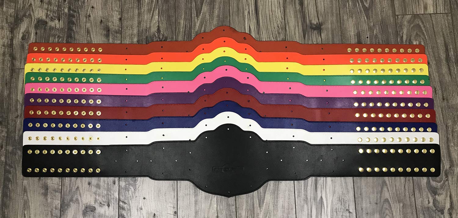 Custom World Championship Wrestling Belt - Personalized Text & Color Options - Fast 2-Day Production - Perfect for Wrestling Events, Awards & Fan Collections