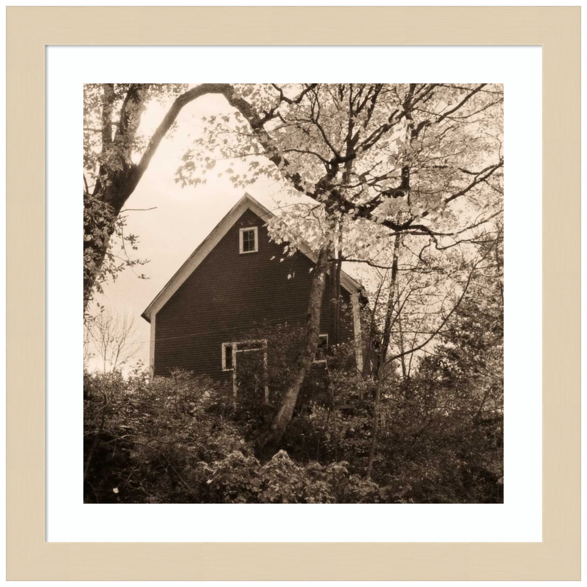 Amanti Art Wood Framed Wall Art Print - Bough and Barn by Christine Triebert, 13x13 Inches, Svelte Natural Frame - Perfect for Living Room, Bedroom & Office Decor