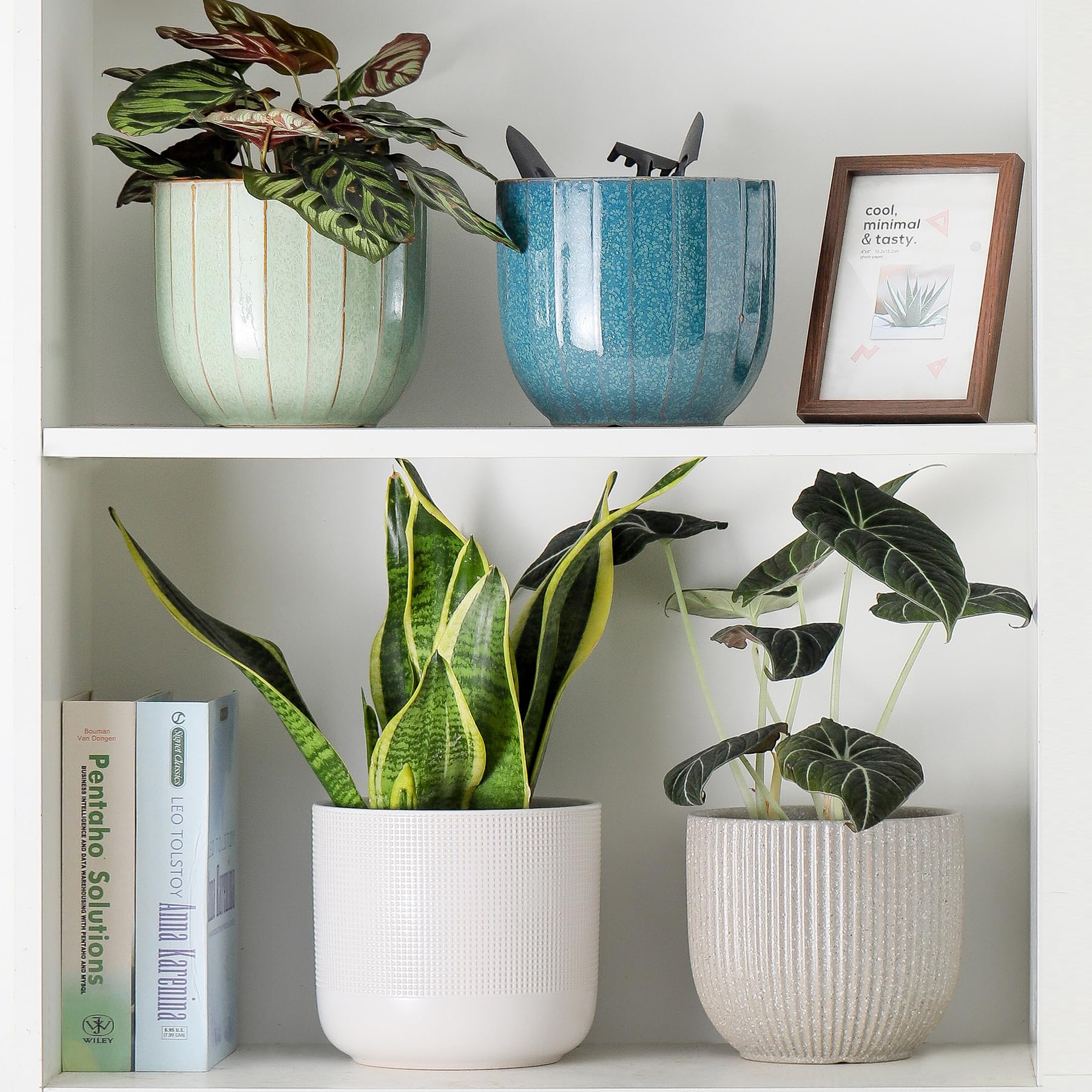 7.9 Inch Ceramic Planter Pot with Drainage Hole - Modern Flower Pot for Indoor Plants, Succulents & Herbs - Home Decor Plant Pot with Removable Rubber Base - Perfect for Living Room, Office & Balcony Decor